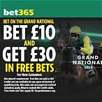 putting a bet on grand national